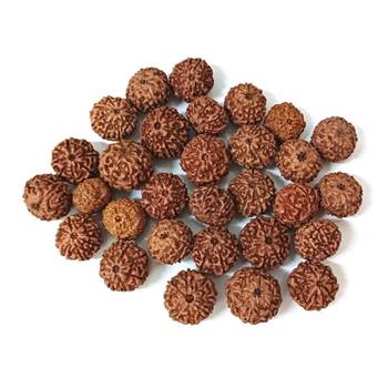 Natural 8 Mukhi Eight Faced Indonesia Rudraksha at Wholesale Rate Healing Looses Fine Quality Astrology Jewellery 1 Pcs 3