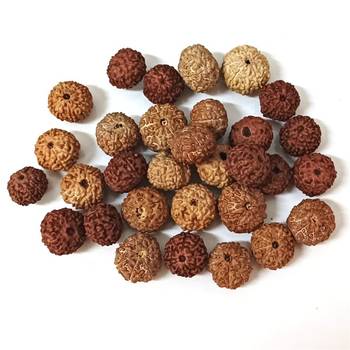 Natural 9 Mukhi Nine Faced Indonesia Rudraksha Beads at Wholesale Rate Looses Fine Quality Astrology Jewellery 1 Pcs 3