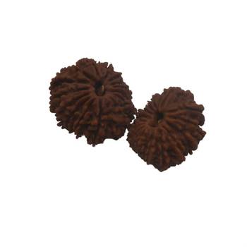 Natural 15 Mukhi Fifteen Faced Nepali Rudraksha Beads at Wholesale Rate Looses Fine Quality Astrology Jewellery 1 Pcs 4