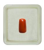 Natural Red Coral at Wholesale Rate 3.25 Ratti 2.95 Carat Capsule Shape मूंगा Loose Gemstone for Jewelry Making 1 Pcs