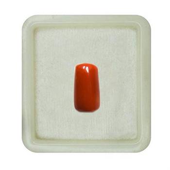 Natural Red Coral at Wholesale Rate 10.25 Ratti 9.25 Carat Capsule Shape मूंगा Loose Gemstone for Jewelry Making 1 Pcs 1