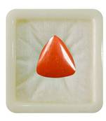 Natural Red Coral at Wholesale Rate 9.25 Ratti 8.36 Carat Trillion Shape मूंगा Loose Gemstone for Jewelry Making 1 Pcs