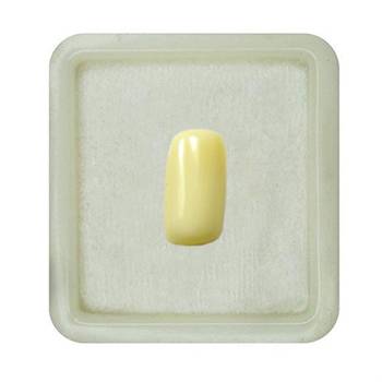 Natural White Coral at Wholesale Rate 2.25 Ratti 2.04 Carat Capsule Shape मूंगा Loose Gemstone for Jewelry Making 1 Pcs 1