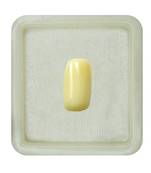 Natural White Coral at Wholesale Rate 2.25 Ratti 2.04 Carat Capsule Shape मूंगा Loose Gemstone for Jewelry Making 1 Pcs