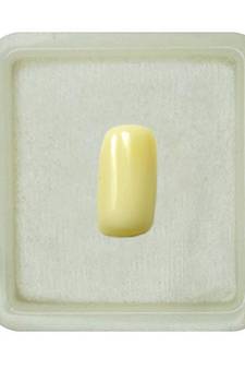 Natural White Coral at Wholesale Rate 4.25 Ratti 3.86 Carat Capsule Shape मूंगा Loose Gemstone for Jewelry Making 1 Pcs