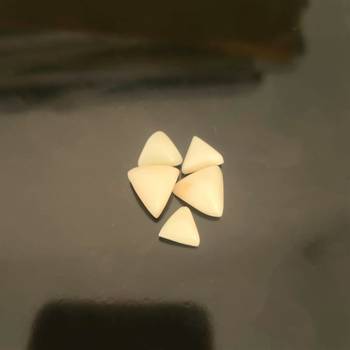 Natural White Coral at Wholesale Rate 4.25 Ratti 3.86 Carat Trillion Shape मूंगा Loose Gemstone for Jewelry Making 1 Pcs 2