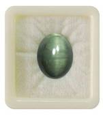 Natural Green Cats Eye at Wholesale Rate 6.25 Ratti 5.68 Carat Oval Shape Lehsuniya Loose Gemstone 1 Pcs