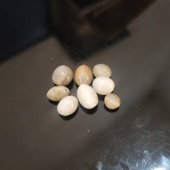 Natural White Cats Eye at Wholesale Rate 4.25 Ratti 3.86 Carat Oval Shape Lehsuniya Loose Gemstone 1 Pcs 3