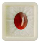 Natural Hessonite at Wholesale Rate Fine Quality 8.25 Ratti 7.5 Carat Cabochon Oval Shape Loose Gemstone 1 Pcs