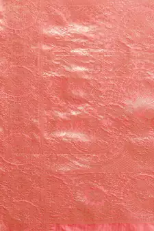 Coral Woven Organza Saree With Blouse