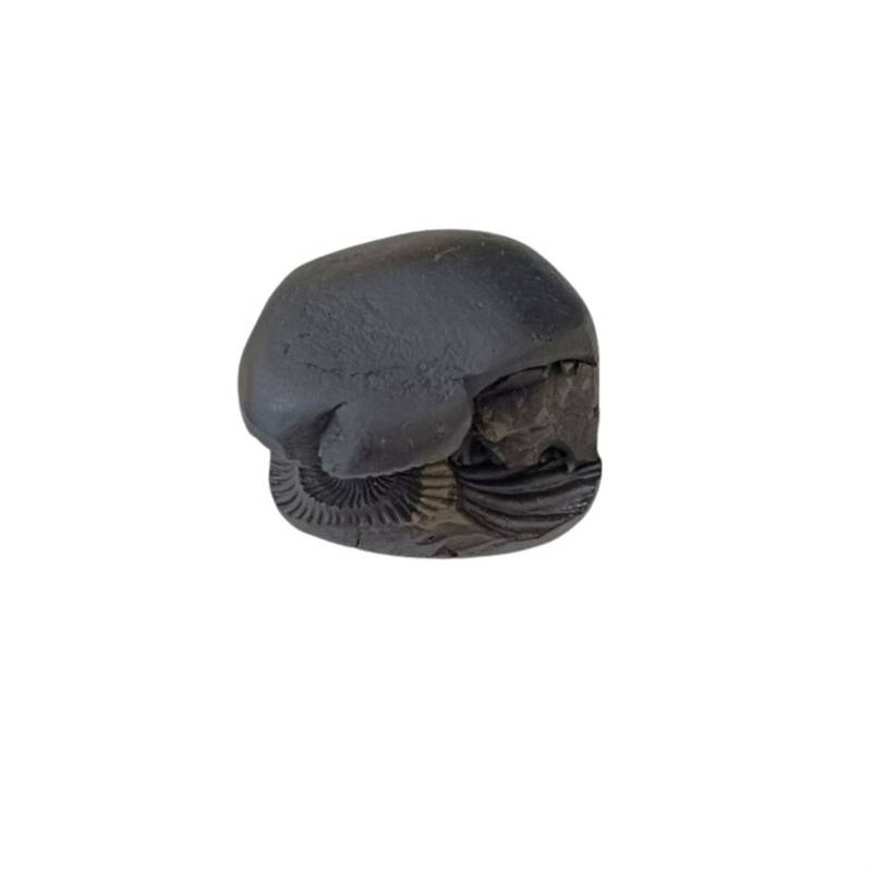Gandaki River Govinda Shaligram Fossil For Worship Idol Shri Vishnu Shila Stone In Small Size (Max: 3 CM)