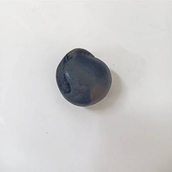 Nepal Gandaki River Natural Lord Shri Vishnu Shaligram Shila For Worship Stone In Small Size (Max: 3 CM) 3