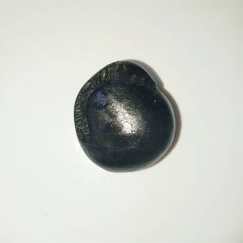 Nepal Gandaki River Natural Lord Shri Vishnu Shaligram Shila For Worship Stone In Small Size (Max: 3 CM) 4