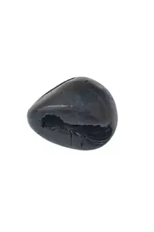 Nepal Gandaki River Original Keshav Shaligram Shri Vishnu Idol For Pooja Stone In Small Size (Max: 3 CM)