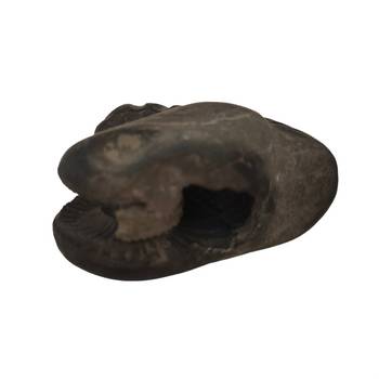 Nepal Gandaki River Shivnarayan Shaligram Lord Shri Vishnu Idol Shila For Tulsi Puja Stone In Small Size (Max: 5 CM) 1