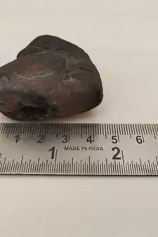 Nepal Gandaki River Shivnarayan Shaligram Lord Shri Vishnu Idol Shila For Tulsi Puja Stone In Small Size (Max: 5 CM)