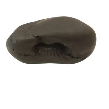 Gandaki River Narsingha Shaligram Lord Shri Vishnu Idol Bhagwan Shila For Tulsi Puja Stone In Small Size (Max: 5 CM) 1