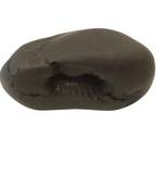 Gandaki River Narsingha Shaligram Lord Shri Vishnu Idol Bhagwan Shila For Tulsi Puja Stone In Small Size (Max: 5 CM)