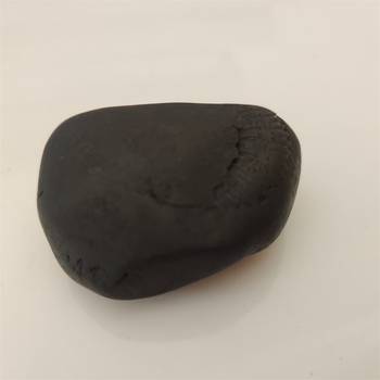 Gandaki River Narsingha Shaligram Lord Shri Vishnu Idol Bhagwan Shila For Tulsi Puja Stone In Small Size (Max: 5 CM) 3