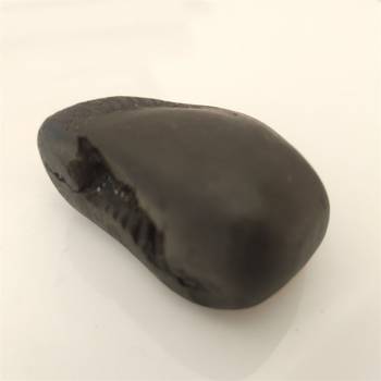 Gandaki River Narsingha Shaligram Lord Shri Vishnu Idol Bhagwan Shila For Tulsi Puja Stone In Small Size (Max: 5 CM) 4