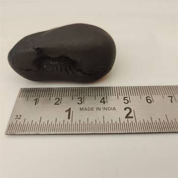 Gandaki River Narsingha Shaligram Lord Shri Vishnu Idol Bhagwan Shila For Tulsi Puja Stone In Small Size (Max: 5 CM) 5