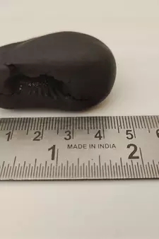 Gandaki River Narsingha Shaligram Lord Shri Vishnu Idol Bhagwan Shila For Tulsi Puja Stone In Small Size (Max: 5 CM)