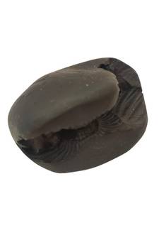 Natural Gandaki River Lord Shri Vishnu Shaligram Shila Tulsi Puja Original Stone In Small Size (Max: 5 CM)