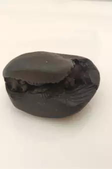 Natural Gandaki River Lord Shri Vishnu Shaligram Shila Tulsi Puja Original Stone In Small Size (Max: 5 CM)