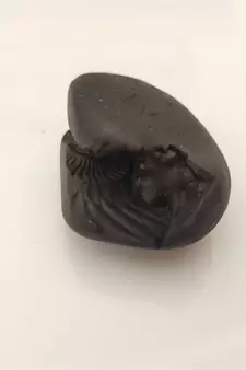 Natural Gandaki River Lord Shri Vishnu Shaligram Shila Tulsi Puja Original Stone In Small Size (Max: 5 CM)