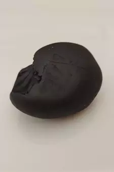 Natural Gandaki River Lord Shri Vishnu Shaligram Shila Tulsi Puja Original Stone In Small Size (Max: 5 CM)