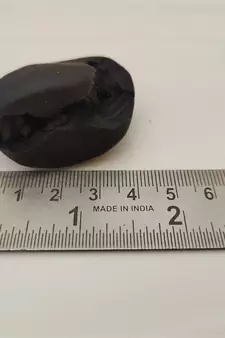 Natural Gandaki River Lord Shri Vishnu Shaligram Shila Tulsi Puja Original Stone In Small Size (Max: 5 CM)