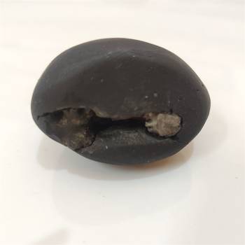 Original Gandaki River Swayambhu Shaligram Lord Shri Vishnu Idol For Tulsi Puja Stone In Small Size (Max: 5 CM) 1