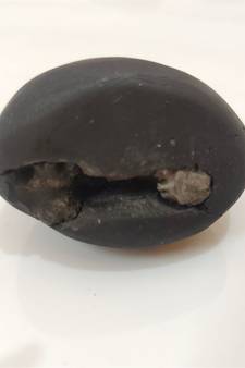 Original Gandaki River Swayambhu Shaligram Lord Shri Vishnu Idol For Tulsi Puja Stone In Small Size (Max: 5 CM)