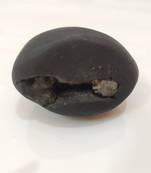 Original Gandaki River Swayambhu Shaligram Lord Shri Vishnu Idol For Tulsi Puja Stone In Small Size (Max: 5 CM)