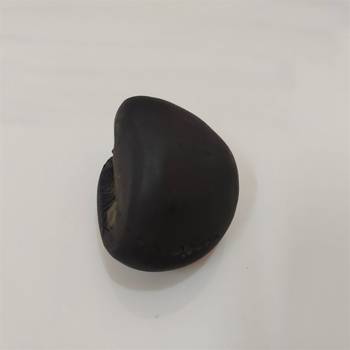 Original Gandaki River Swayambhu Shaligram Lord Shri Vishnu Idol For Tulsi Puja Stone In Small Size (Max: 5 CM) 4