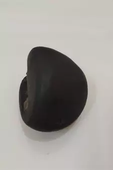 Original Gandaki River Swayambhu Shaligram Lord Shri Vishnu Idol For Tulsi Puja Stone In Small Size (Max: 5 CM)