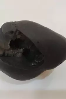 Gandaki River Original Kurma Shaligram Bhagwan Shila For Tulsi Puja Stone In Small Size (Max: 5 CM)