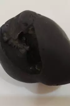 Gandaki River Original Kurma Shaligram Bhagwan Shila For Tulsi Puja Stone In Small Size (Max: 5 CM)
