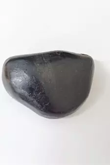 Nepal Gandaki River Shivanarayan Shaligram Shila Lord Shri Vishnu Idol For Tulsi Puja Stone In Small Size (Max: 5 CM)