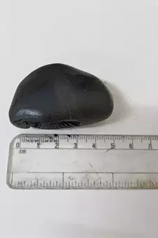 Nepal Gandaki River Shivanarayan Shaligram Shila Lord Shri Vishnu Idol For Tulsi Puja Stone In Small Size (Max: 5 CM)