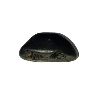 Gandaki River Narsingha Shaligram Lord Shri Vishnu Idol god ji shila For Tulsi Puja Stone In Small Size (Max: 5 CM) 1