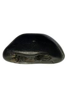 Gandaki River Narsingha Shaligram Lord Shri Vishnu Idol god ji shila For Tulsi Puja Stone In Small Size (Max: 5 CM)