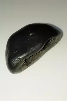 Gandaki River Narsingha Shaligram Lord Shri Vishnu Idol god ji shila For Tulsi Puja Stone In Small Size (Max: 5 CM)