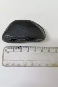 Gandaki River Narsingha Shaligram Lord Shri Vishnu Idol god ji shila For Tulsi Puja Stone In Small Size (Max: 5 CM)