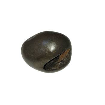 Gandaki River Natural Pradhyumna Shaligram Fossil Shila For Tulsi Puja Stone In Small Size (Max: 5 CM) 1