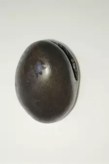 Gandaki River Natural Pradhyumna Shaligram Fossil Shila For Tulsi Puja Stone In Small Size (Max: 5 CM)
