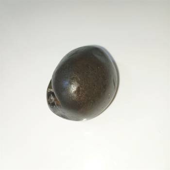 Gandaki River Natural Pradhyumna Shaligram Fossil Shila For Tulsi Puja Stone In Small Size (Max: 5 CM) 3
