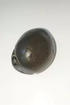 Gandaki River Natural Pradhyumna Shaligram Fossil Shila For Tulsi Puja Stone In Small Size (Max: 5 CM)