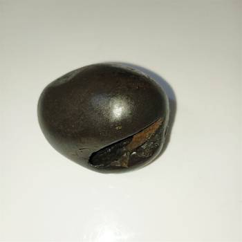 Gandaki River Natural Pradhyumna Shaligram Fossil Shila For Tulsi Puja Stone In Small Size (Max: 5 CM) 4