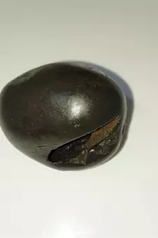 Gandaki River Natural Pradhyumna Shaligram Fossil Shila For Tulsi Puja Stone In Small Size (Max: 5 CM)